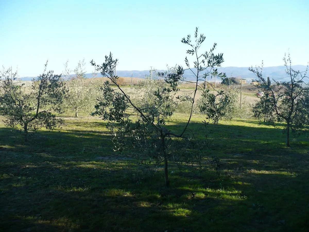 La Casina Apartment Rosignano Marittimo Italy